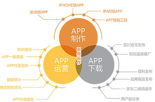 app项目计划书